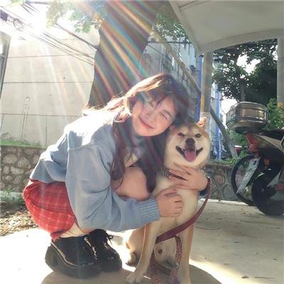 奇波和神奇动物的时代第一季